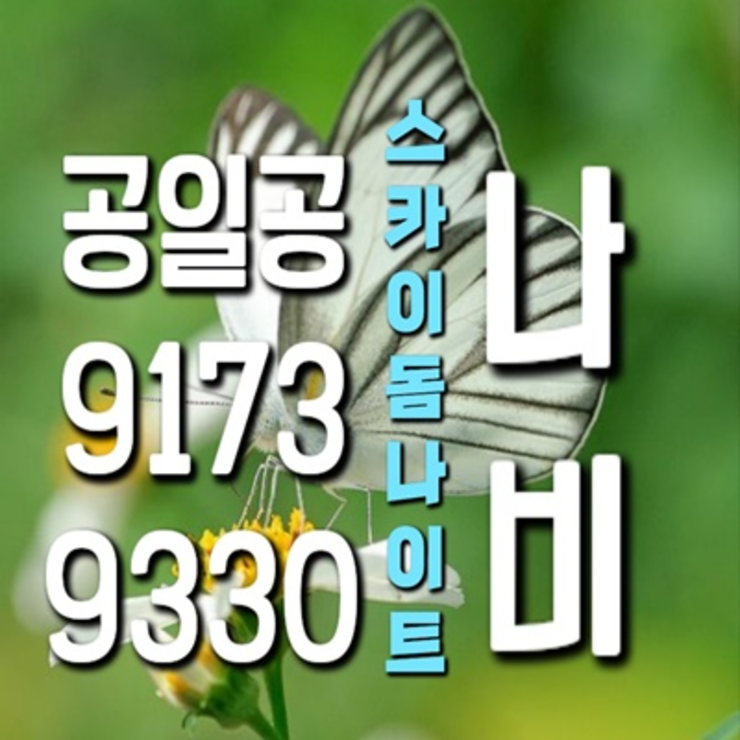 파주스카이돔나이트